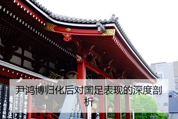 尹鸿博归化后对国足表现的深度剖析
