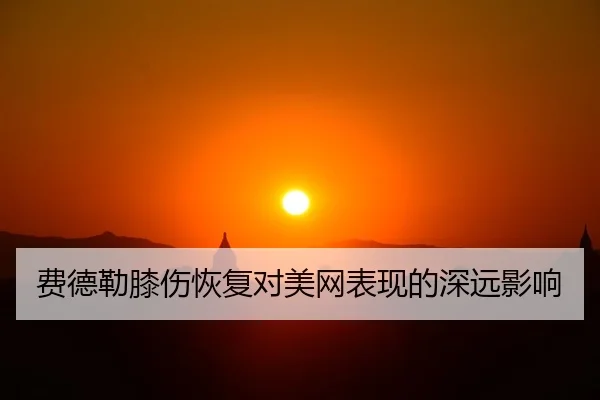 fei-de-lei-xi-shang-hui-fu-dui-mei-wang-biao-xian-de-shen-yuan-ying-xiang-2-550.jpg